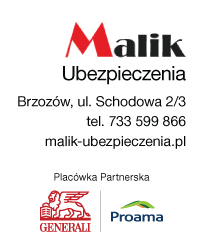 Ubezpieczenia - Malik